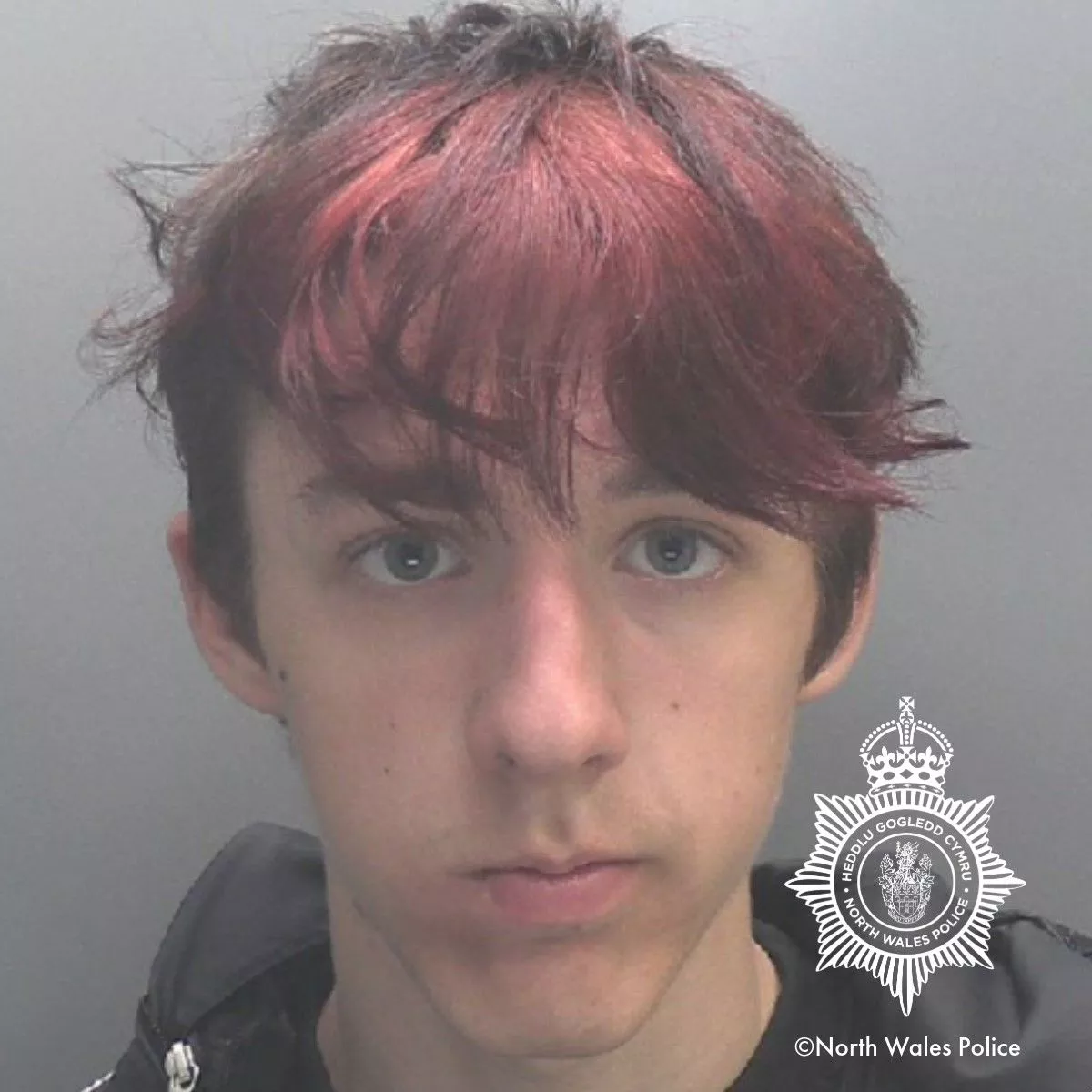 Offender photo